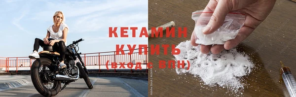 хмурый Магас