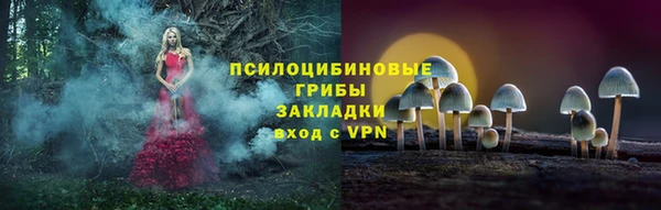 хмурый Магас