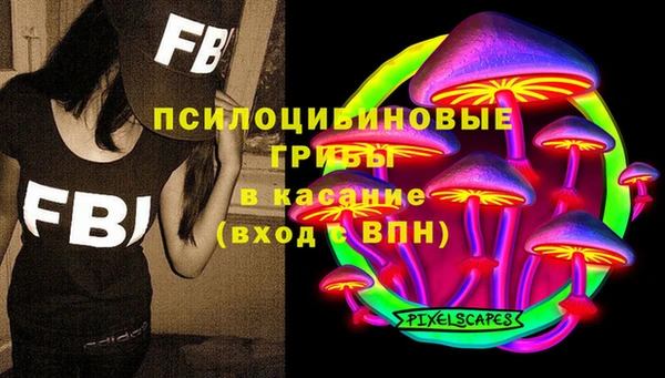 шишки Магадан