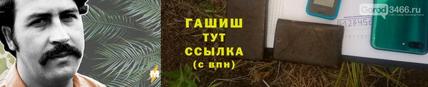 хмурый Магас