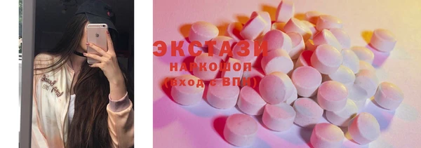 хмурый Магас