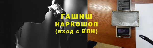 хмурый Магас