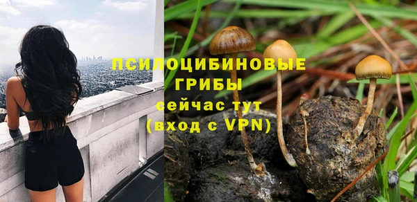 шишки Магадан