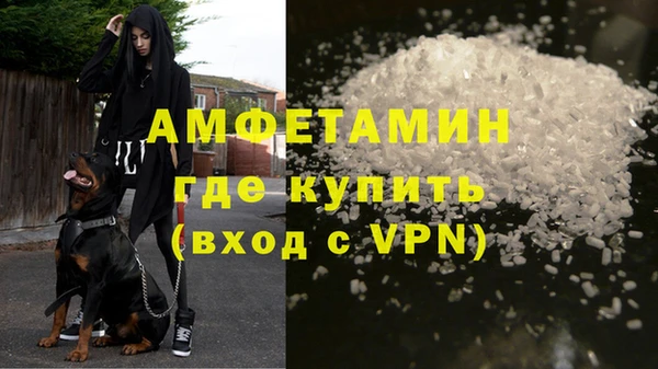 хмурый Магас