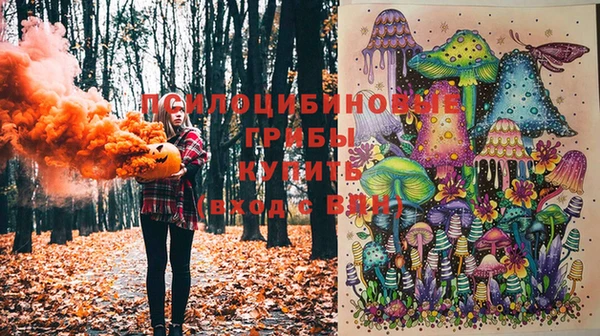 хмурый Магас