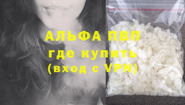 хмурый Магас