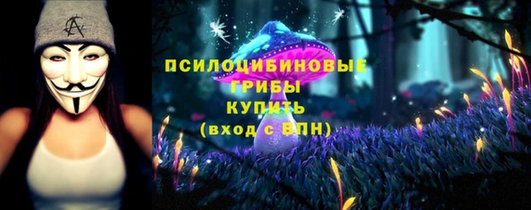хмурый Магас