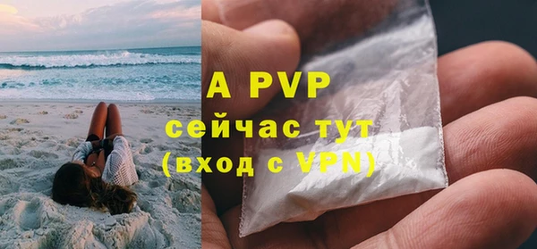 хмурый Магас