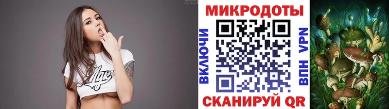 Галлюциногенные грибы Psilocybe  Подпорожье 